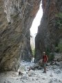 IMG_2238 - Copy